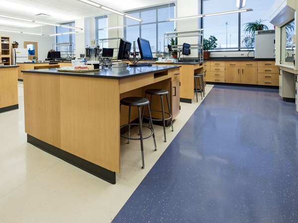 Lewistone_Niagara-University-Golisano-Center