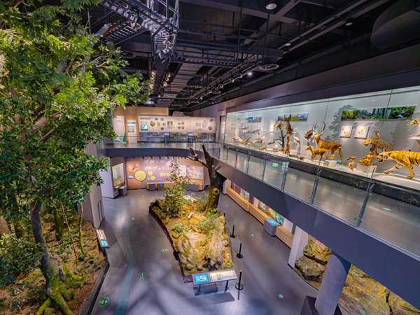 View over the Zhejiang Natural History Museum, Anji