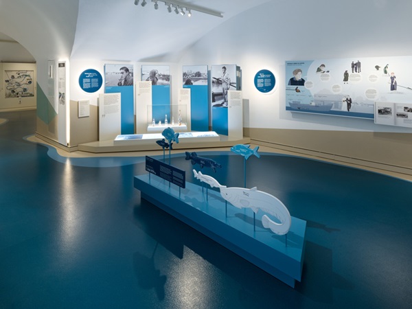 Museumsraum mit blauem Boden, der den Fluß Donau symbolisiert, in der Mitte des Raumes werden Fischsilhouetten gezeigt